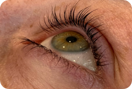 Lash_Lift2